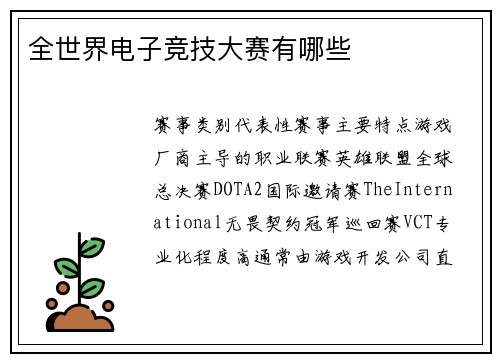 全世界电子竞技大赛有哪些